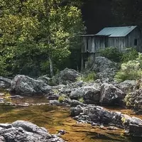 Discover the Natural Splendor of Greer Spring Trail