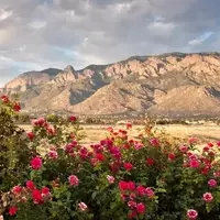 High Desert: Albuquerque's Pinnacle of Natural Beauty and Urban Charm