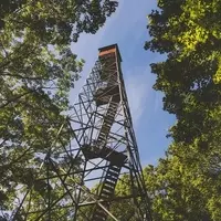 Ancient Mysteries Unveiled: Exploring Minnesota's Timeless Burial Mounds