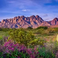Discovering Free Camping and Hiking Adventures in New Mexico's Majestic Organ Mountains