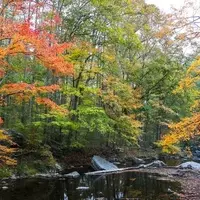 Discover Raccoon Creek State Park: A Hidden Gem Near Pittsburgh