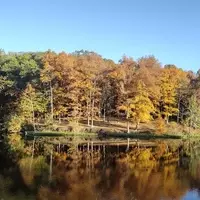 McKinley Woods: A Haven of Nature Near Chicago
