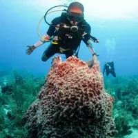 Belize Revolutionizes Dive Tourism with Conservation-Focused Event