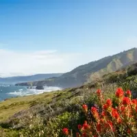 Westport: A Hidden Gem on California's Lost Coast