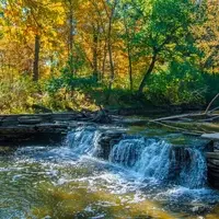 Discovering Darien: Chicago's Serene Suburban Escape with Nature's Wonders and Craft Brews