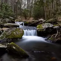 Doughton Park: A Wilderness Sanctuary on the Blue Ridge Parkway
