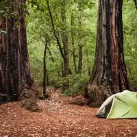 California's Campsite Reservation System Undergoing Significant Transformation