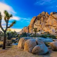 A Futuristic Retreat in Joshua Tree: The Area 55 Futuro House