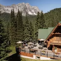 Fernie: A Dual-Budget Travel Guide to British Columbia's Mountain Gem