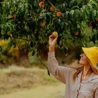 Haysville: Kansas's Hidden Peach Gem and Family Destination