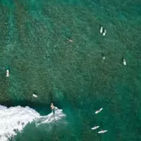 Unlocking Elite Surf Experiences at Luxury Resorts