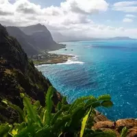 Hawaii Battles Dengue Fever Outbreak: What Visitors Must Know