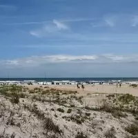 Anastasia State Park: A Pristine Coastal Sanctuary in Florida