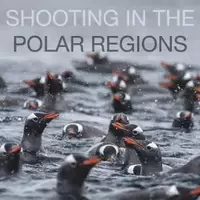 Capturing the Arctic: A Photography Masterclass