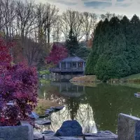 Discover Wheaton: Maryland's Hidden Gem