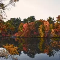 Glocester: Rhode Island's Hidden Treasure for Vintage Finds, Fine Wines, and Local Delights