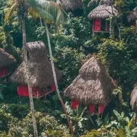 Experience Nature: An All-Inclusive Treehouse Retreat in the Dominican Jungle