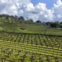 Jackson: A Hidden Gem for Active Retirees in California's Wine Country