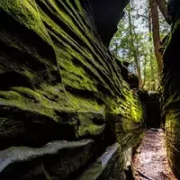 Exploring the Natural Wonders of Ohio's Ledges Trail