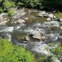 Tellico River: A Hidden Gem for Outdoor Enthusiasts in Tennessee