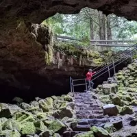 Discover Cougar, Washington: A Hidden Gem Near Mount St. Helens