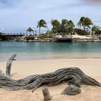 Capturing the Allure of Curacao's Coastal Beauty