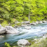 Discover Jamaica State Park: Vermont's Hidden Gem for Outdoor Enthusiasts
