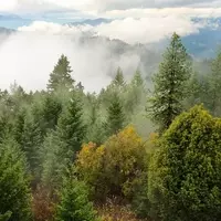 Oregon's Twin Peaks: A Rock Climber's Paradise in Umpqua National Forest