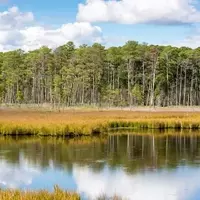 Toddville, Maryland: A Haven for Nature and Adventure Seekers