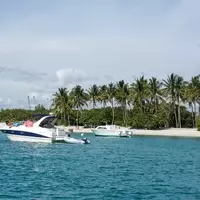 Discover Peanut Island: Florida's Hidden Gem for Outdoor Enthusiasts