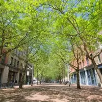 Pioneer Square: Seattle's Historic Heartbeat Reimagined for Pedestrians