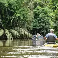 The Elusive Sloth: A Tourist's Challenge in Costa Rica