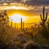 San Tan Valley: A Desert Oasis for Retirement and Exploration