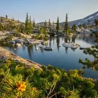 Lake Aloha Trail: A Gateway to Sierra Nevada's Untamed Beauty