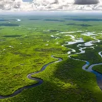 Florida's Aquatic Havens: A Guide to Its Snake-Rich Waterways