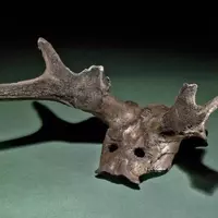 Unraveling the Enigmas of Star Carr: A Glimpse into Mesolithic Life