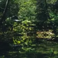 Unveiling Kyoto's Hidden Gems: A Journey Beyond the Crowds