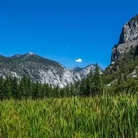 Zumwalt Meadow: A Vital Ecosystem in Kings Canyon National Park
