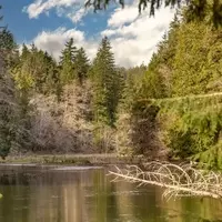 Unveiling Lake Sylvia State Park: A Tranquil Rainforest Escape in Washington