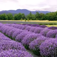 Exploring the Pacific Northwest: A Journey Through Nature's Masterpieces