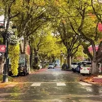 Camas: A Verdant Gateway to the Columbia River Gorge
