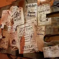 First Look: Magic Kingdom's Pirate Pub "The Beak and Barrel"