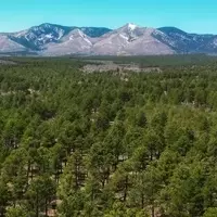 Manzano Mountains State Park: New Mexico's Hidden Gem for Nature Lovers
