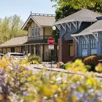Danville: A Hidden Gem Near San Francisco Offering Culinary Delights and Unique Shopping