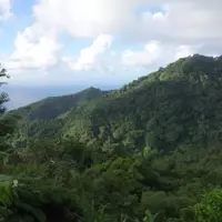 Dominica Elevates Tourism Through Comprehensive Service Excellence Program