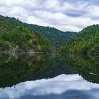 Discover Chilhowee Lake: A Serene Escape Amidst the Appalachian Peaks