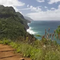 Unveiling Kauai's Hidden Gem: A Challenging Trail to a Breathtaking Waterfall Oasis