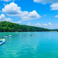 Lake Hartwell: A Premier Destination for Anglers and Leisure Seekers