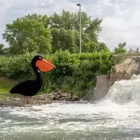 Discover Pelican Rapids: Minnesota's Hidden Gem for Nature Lovers and Kitsch Enthusiasts