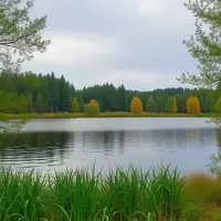 Discover Millersylvania State Park: Washington's Natural Sanctuary